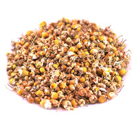 Organic Nile Delta Chamomile Herbal Tea