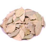 Organic Bay Leaf