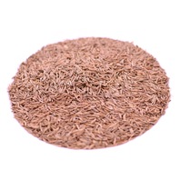 Organic Caraway Seed