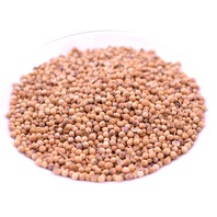 Organic Coriander Seed