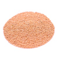 Organic Yellow Mustard Seed